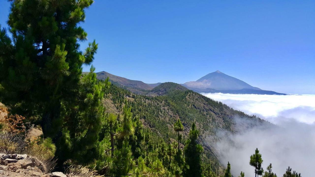 Top View Acantilados De Los Gigantes Acantilado de los Gigantes Buitenkant foto